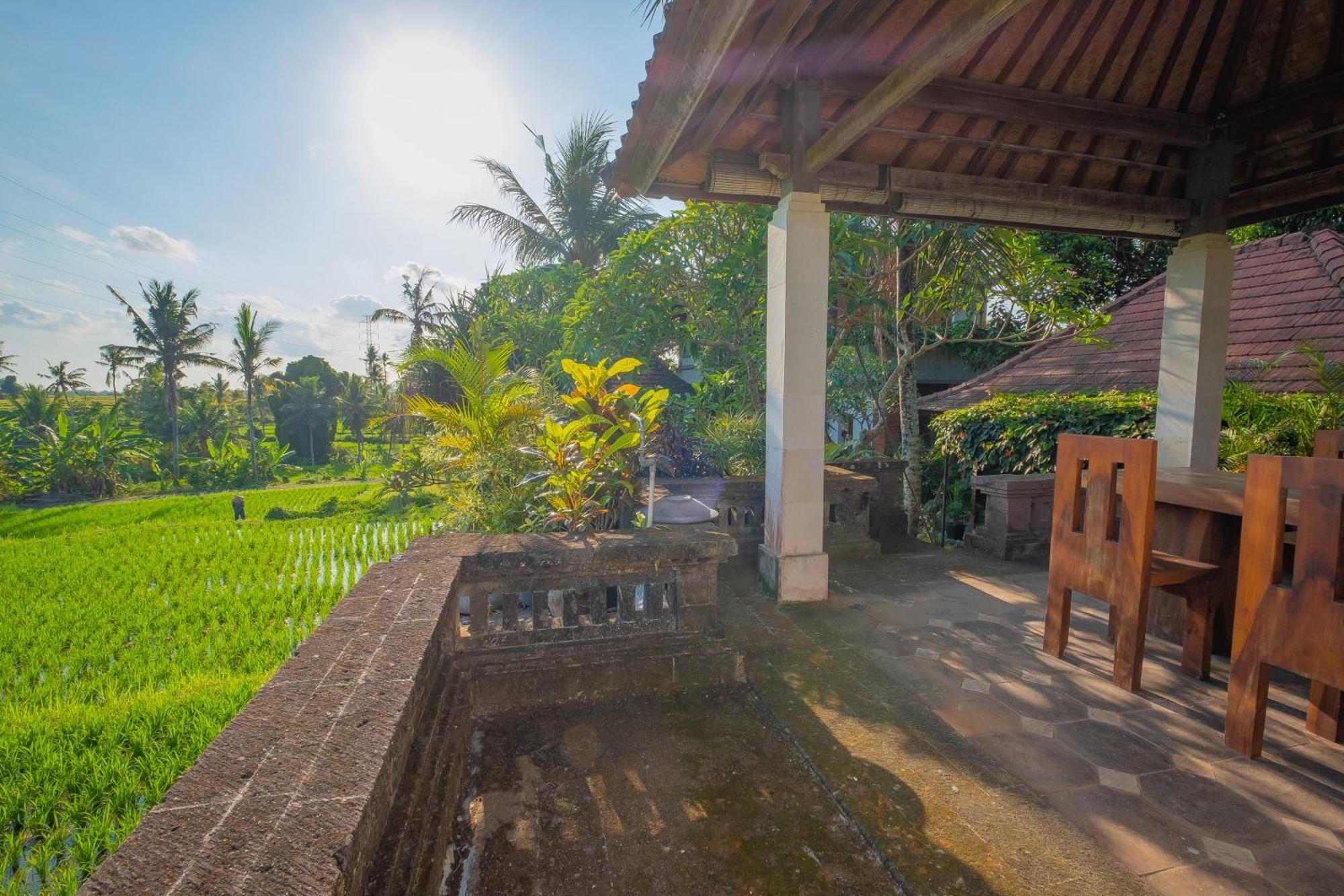 Puri Cili Villa Ubud Exteriör bild